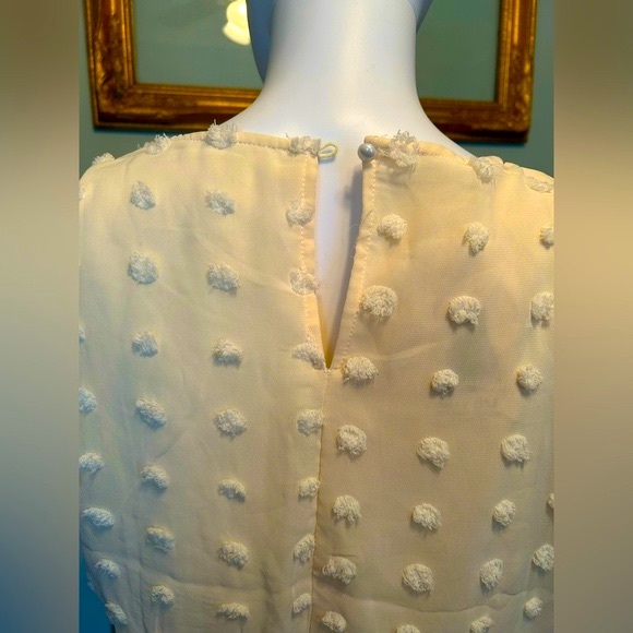 Romantic Dotted Swiss Cream Romper - Picture 6 of 9